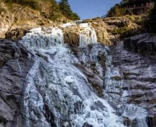 磐安冬景：飞瀑变冰瀑，青松挂雾凇